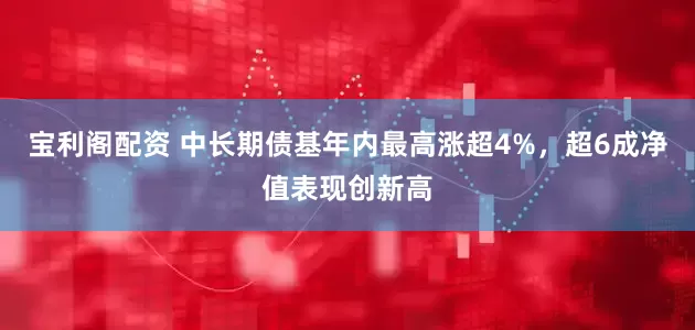 宝利阁配资 中长期债基年内最高涨超4%，超6成净值表现创新高